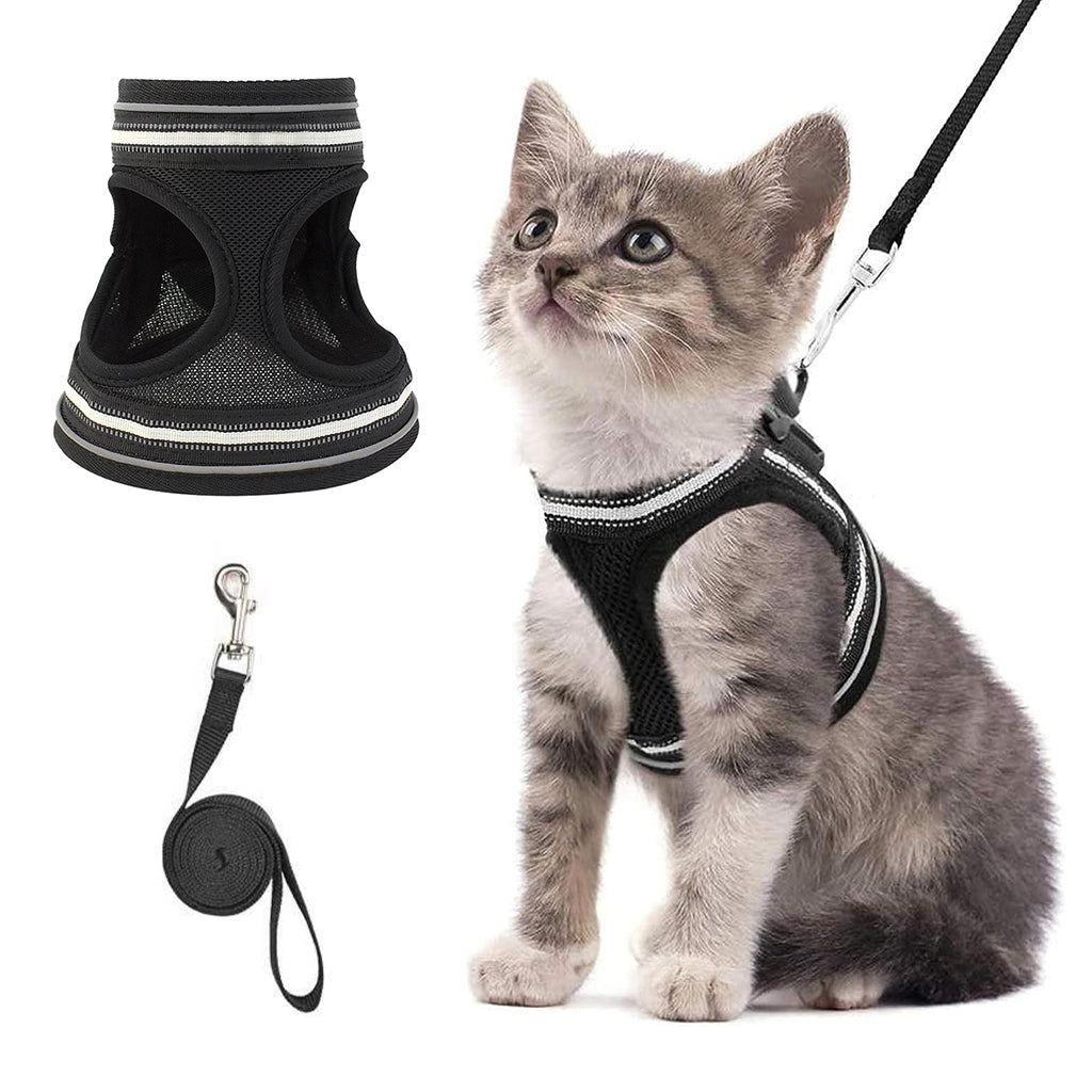 Qpets Cat Harness with 59'' Leash Small Cat Vest Harness Cat Harness Safety Night Reflective Strip Design Breathable Adjustable Quick Release Summer Cat Harness for Walking, M Qpets Cat Harness with 59'' Leash Small Cat Vest Harness Cat Harness Safety Night Reflective Strip Design Breathable Adjustable Quick Release Summer Cat Harness for Walking, M